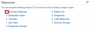 AWS EC2 Running Instances AWS EC2 Running Instances