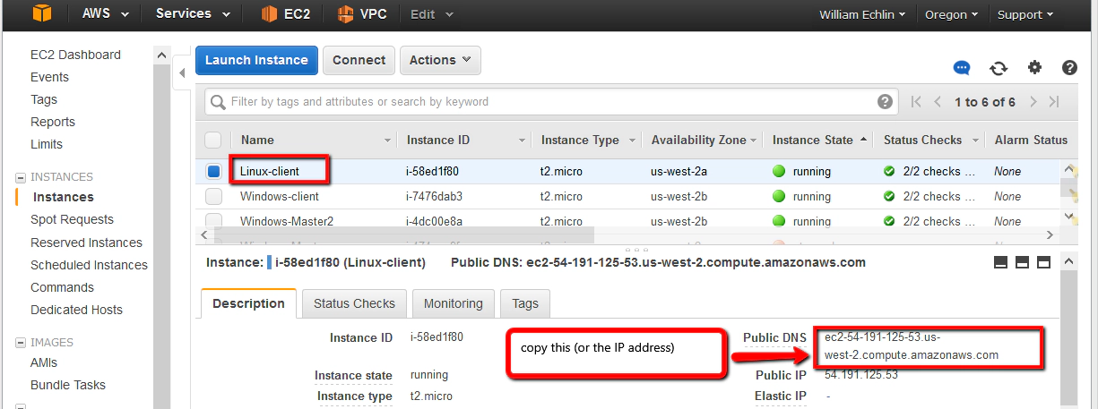 testmanagement testmanagement