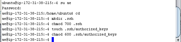 testmanagement testmanagement