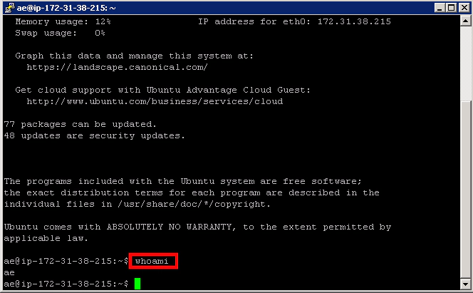 testmanagement testmanagement