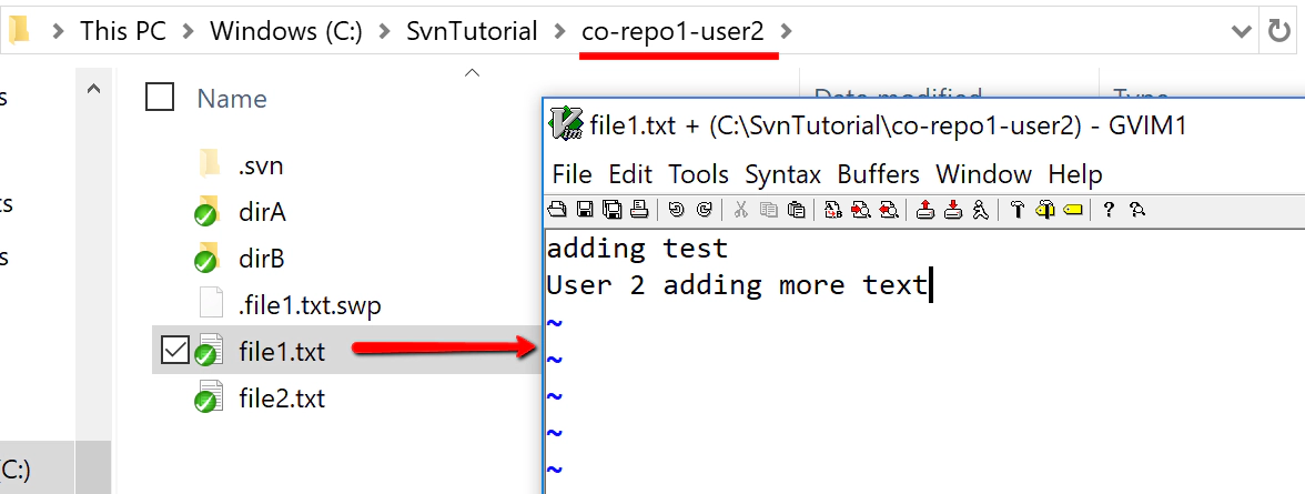 svn-user2-commit-file