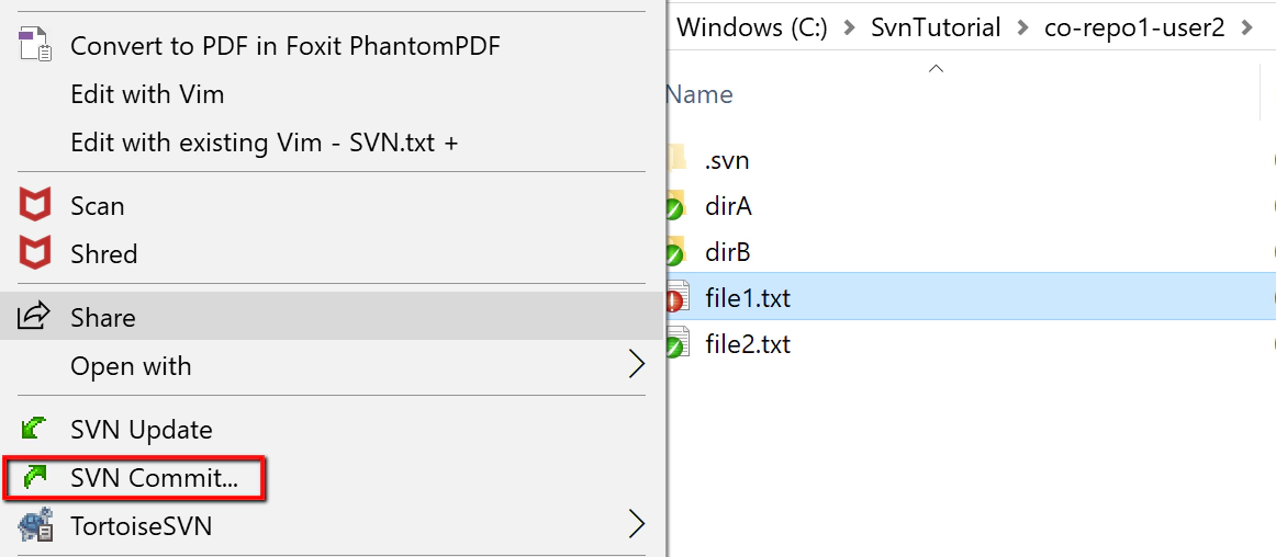 svn-user2-commit-file-2