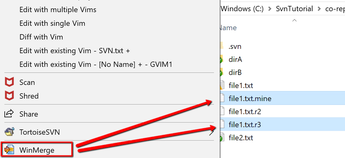 svn-user2-conflict-merge