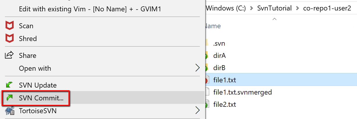 svn-user2-conflict-merge10