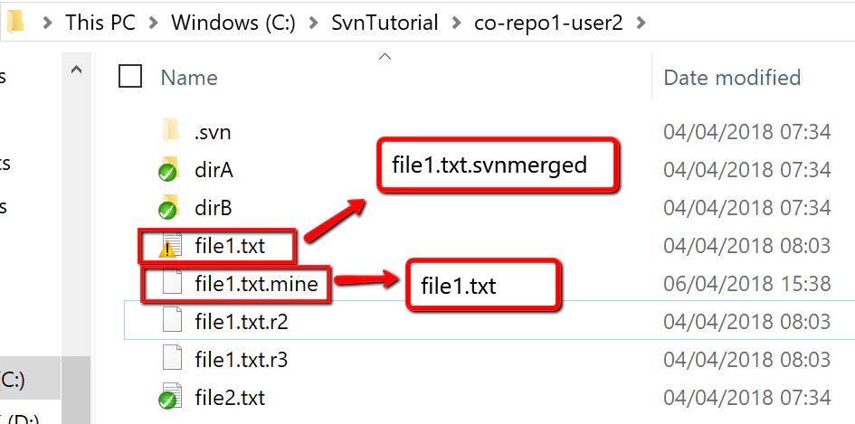 svn-user2-conflict-merge5