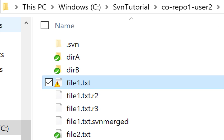 svn-user2-conflict-merge6