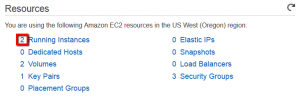 AWS EC2 Running Instances