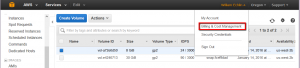 AWS EC2 Cost Management