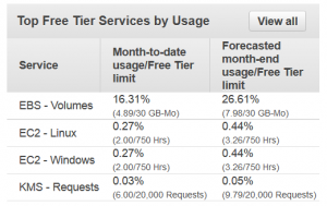 AWS EC2 Cost Management Details