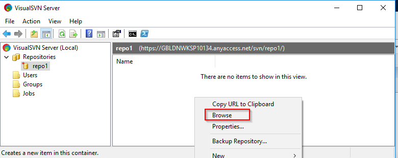 Visual SVN Server Create 8th Repo