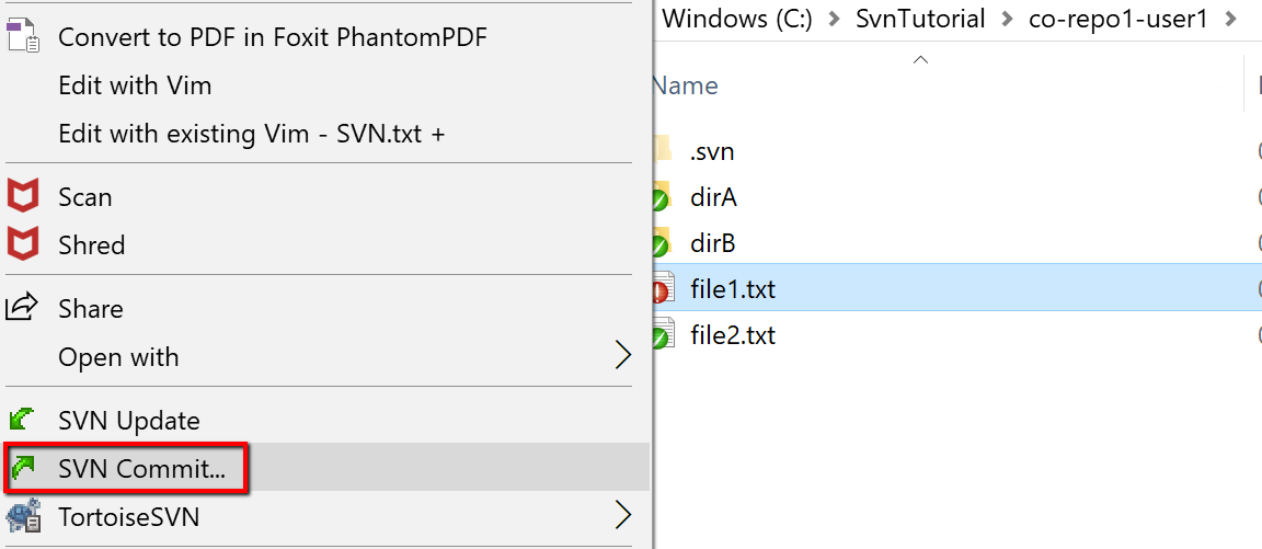 svn-user1-commit-file