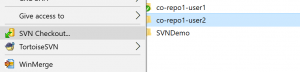 svn-user2-repo1-co